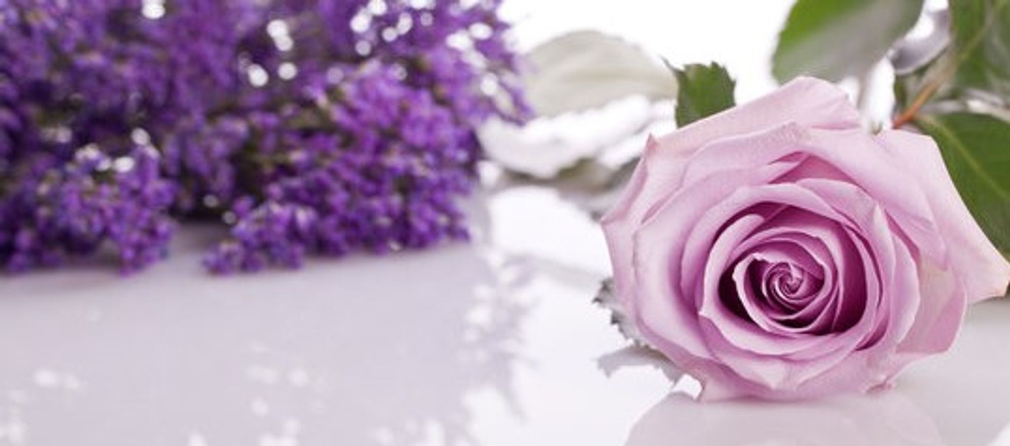 Cover photo for Eleanor M. Barra's Obituary