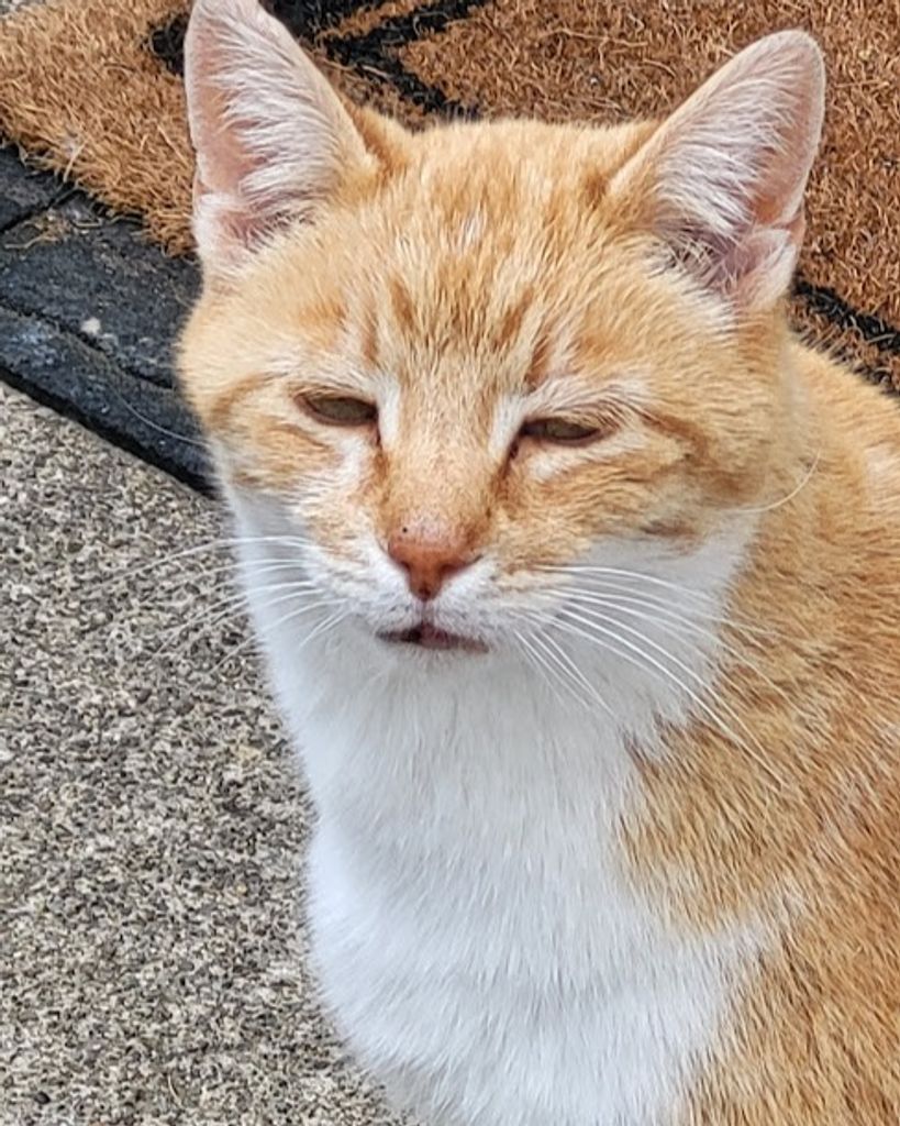 Franklin "Cheesers" Oliver Melroy