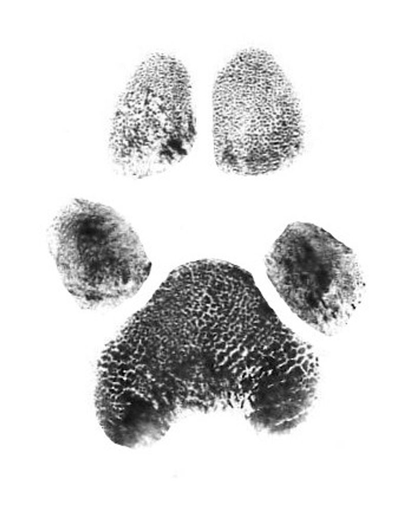 Otis "Otie" Barger Profile Photo