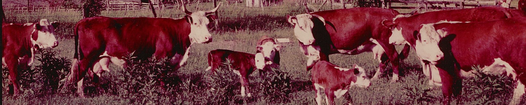 Cover for John Dusenberry's Obituary