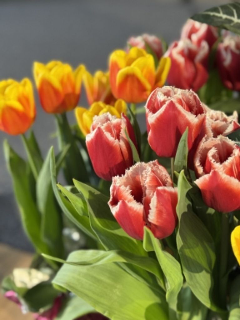 Loretta Arlene Mcclellan Profile Photo