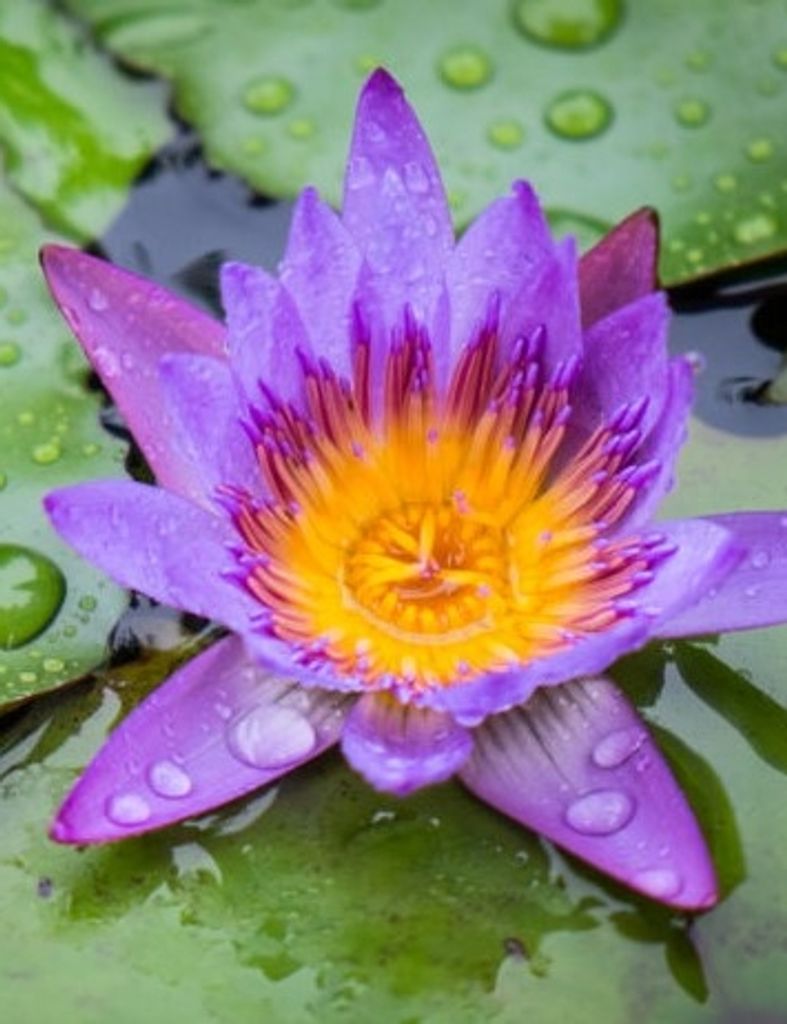 Godafrid Makujina Profile Photo