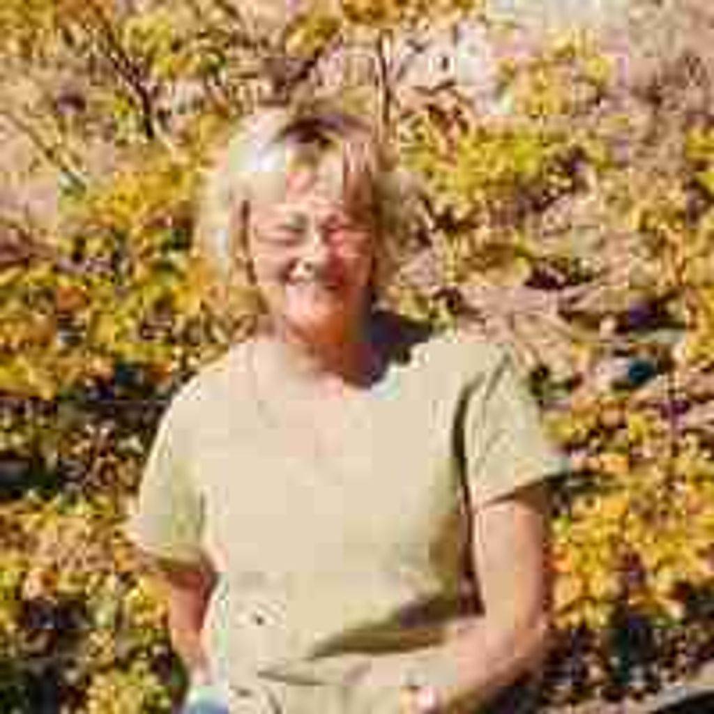 Diana L (Dietl) Partington