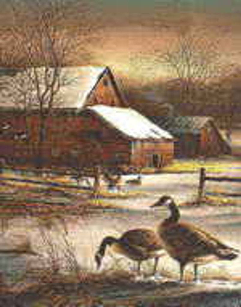 David A.  Mackie