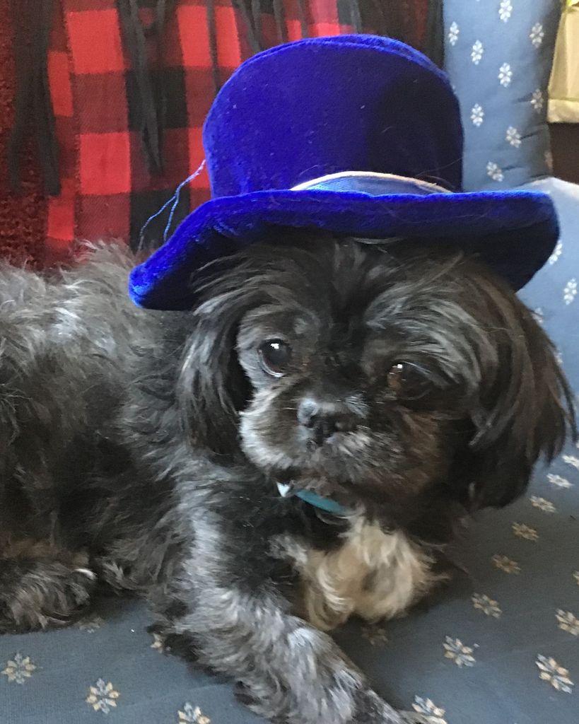 Star Conway Profile Photo