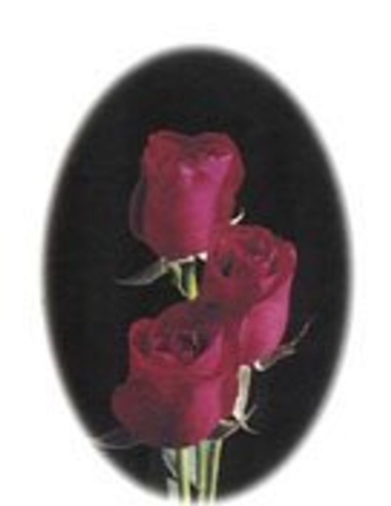 Ann Colby Profile Photo