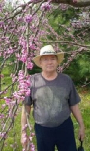 David G. Sanford Profile Photo