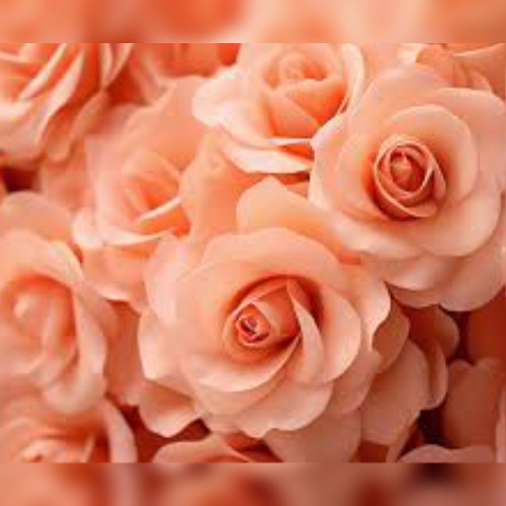 Charlene Joann Dorman Profile Photo