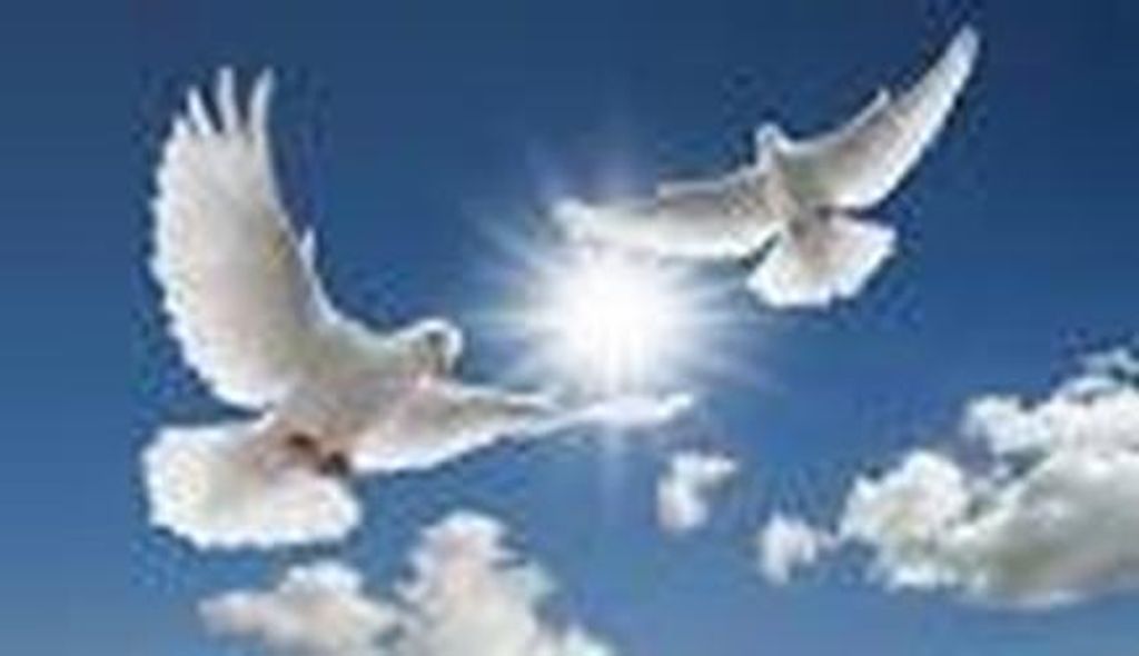 William Calvin Woods. (W.C.)