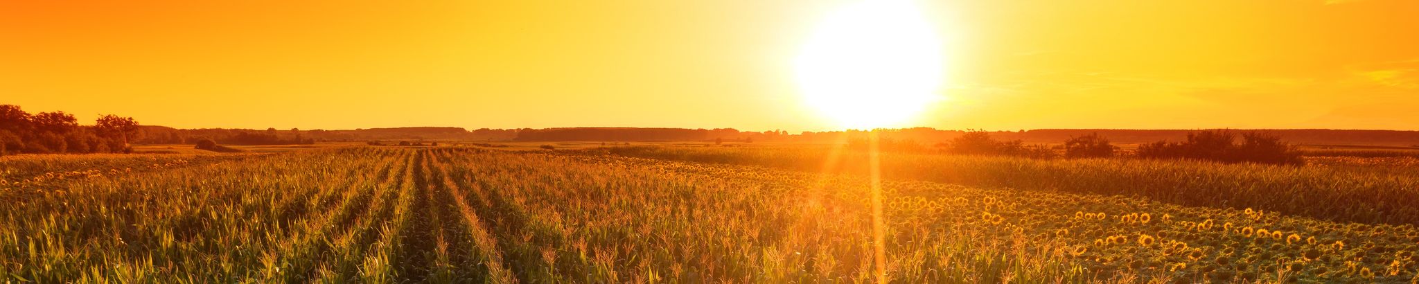 Cover for Howard Leo Gappa's Obituary