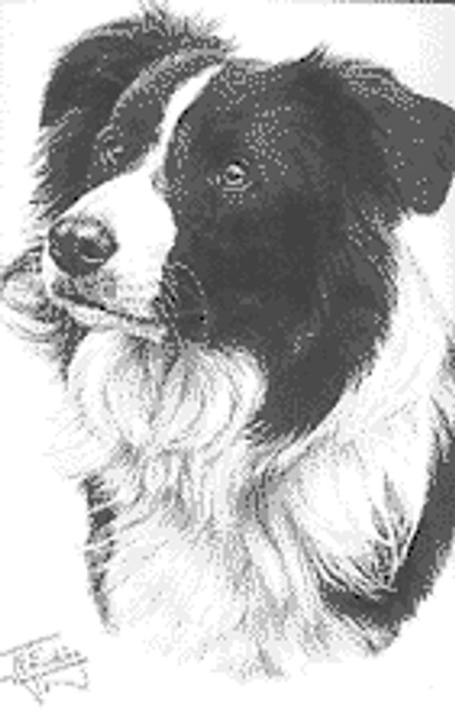 Beacon Howatt Profile Photo