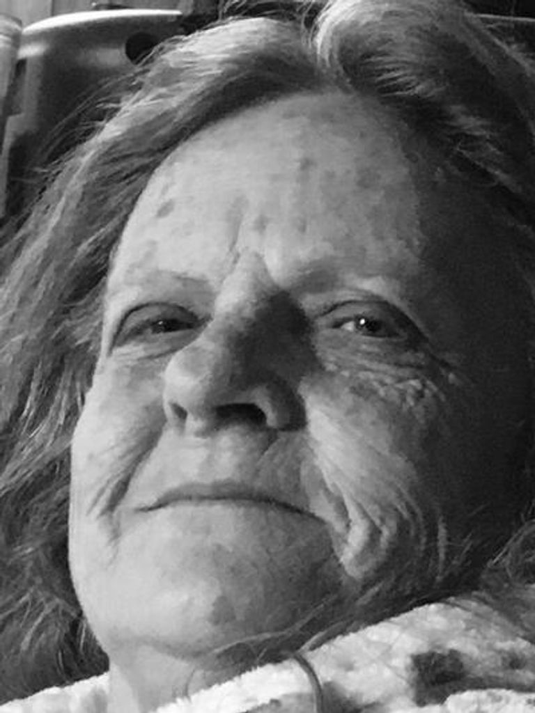 Kathy Dennington Profile Photo