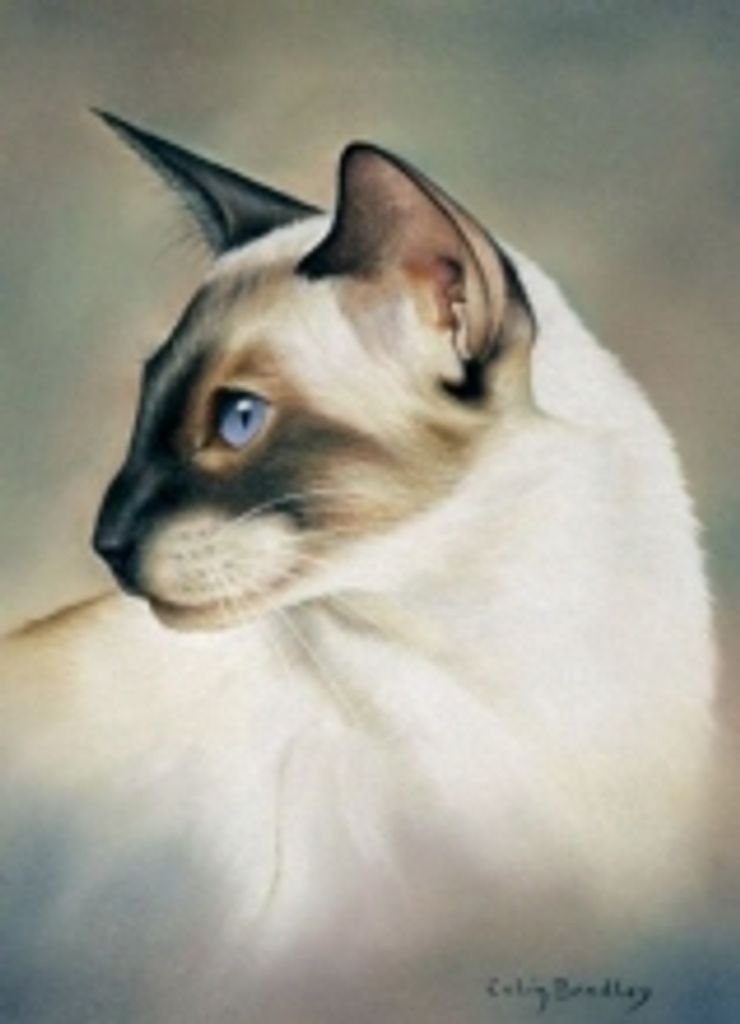 Sugar Bazzett-Woody Profile Photo