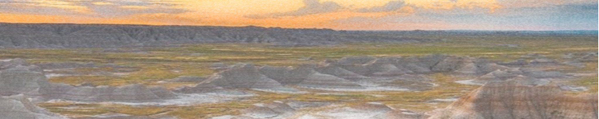 Cover photo for Mark Mittelsteadt's Obituary