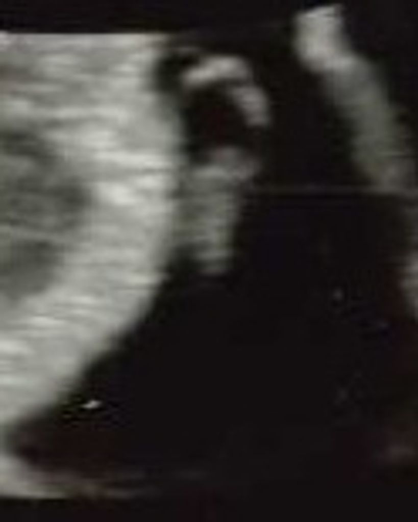 Nelson Keith Rivera Profile Photo