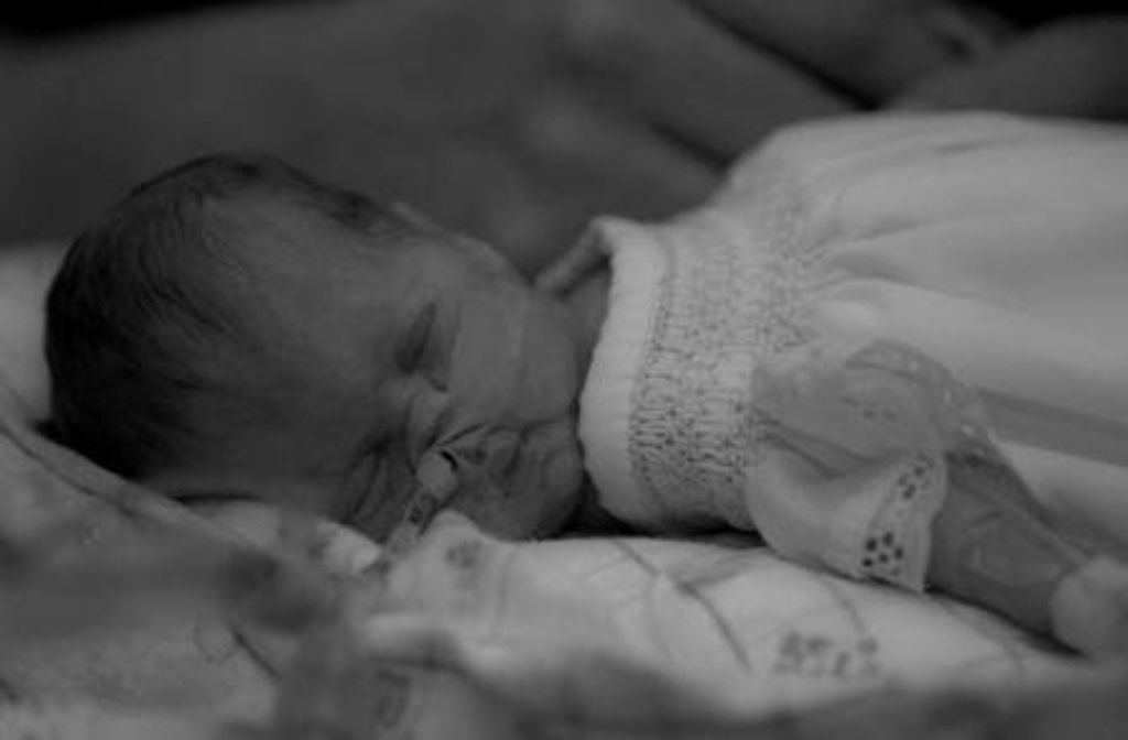 Alyssa Amy Cook
