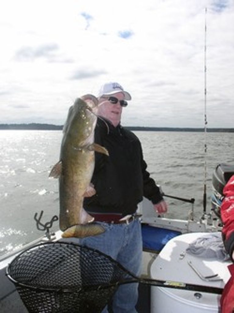 Harold David Harman Profile Photo