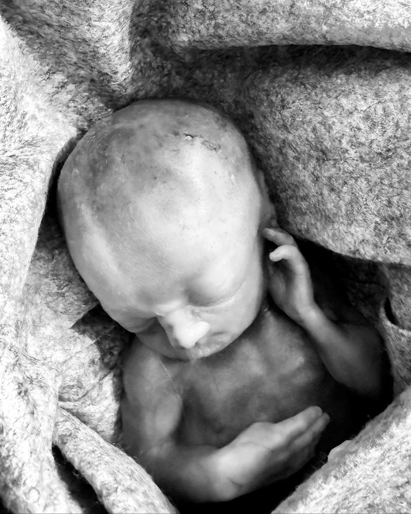 Calan Lee Garner