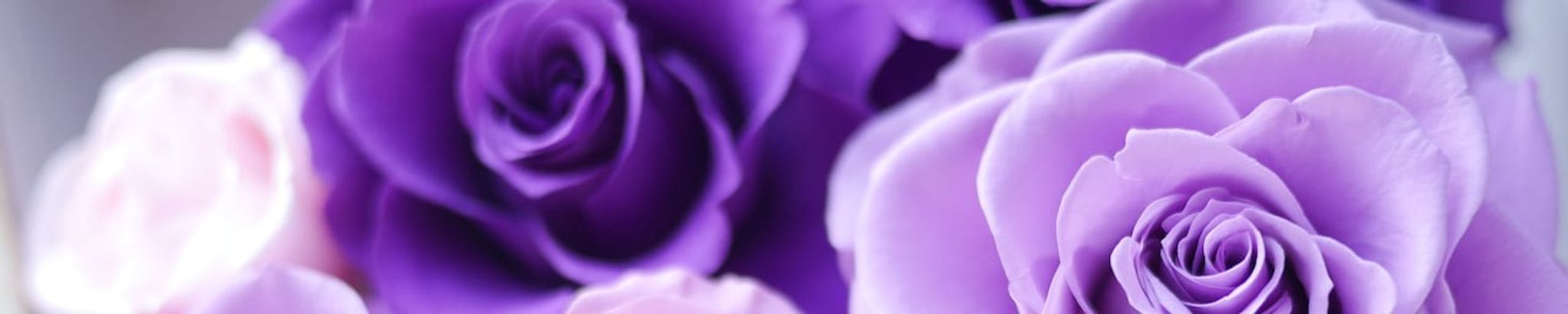 Cover for Imogene Arnold's Obituary