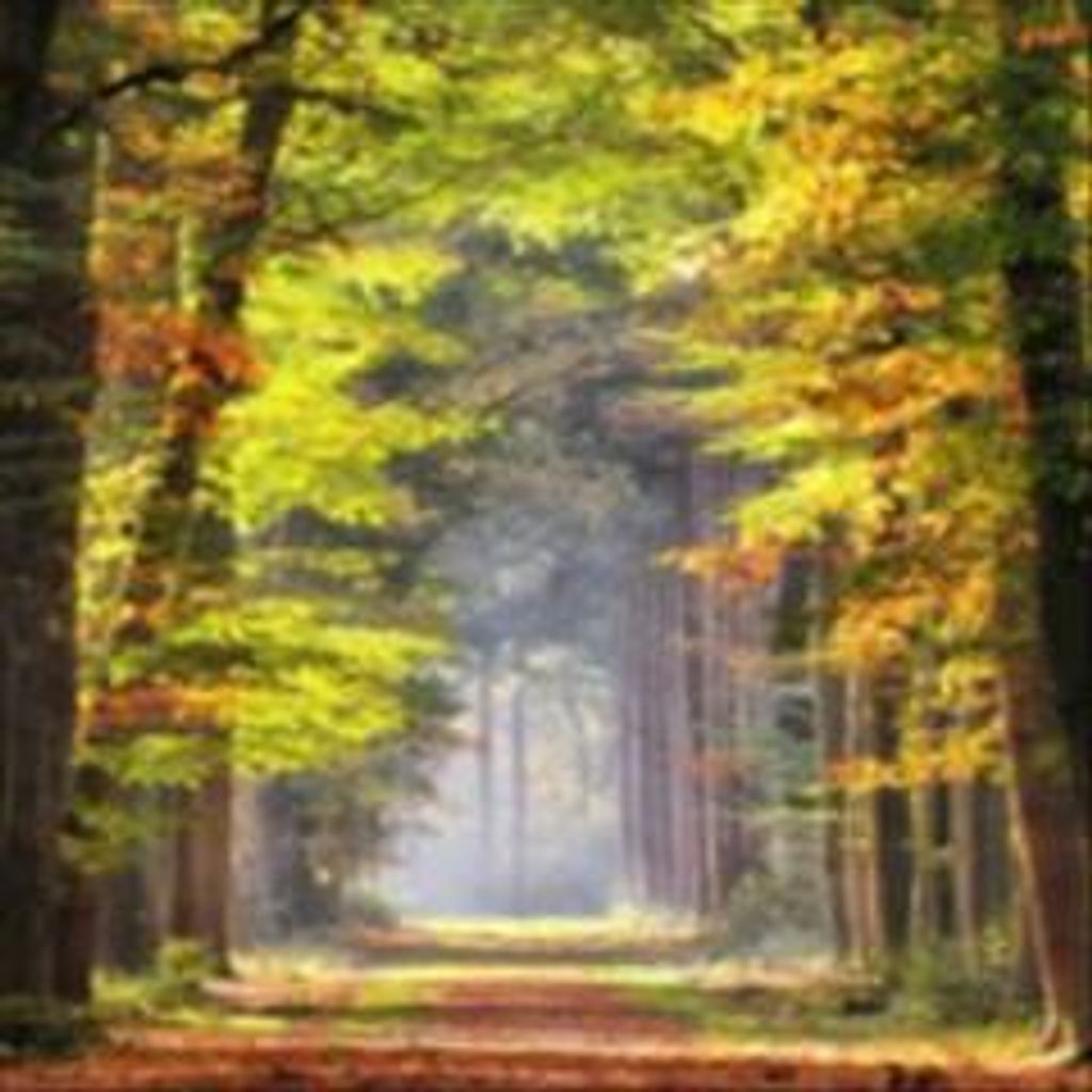 Louis G. Lopez Profile Photo