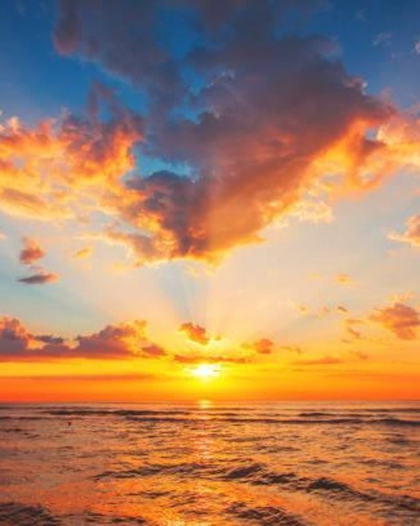 David Francis Bowman Profile Photo