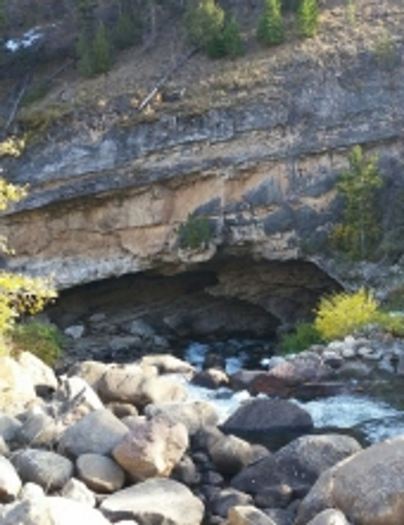 James David Sherlock Profile Photo