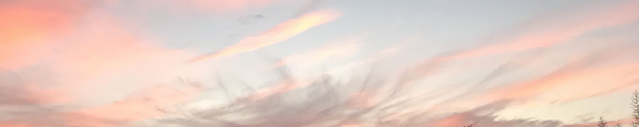 Cover for Kay Brennan's Obituary