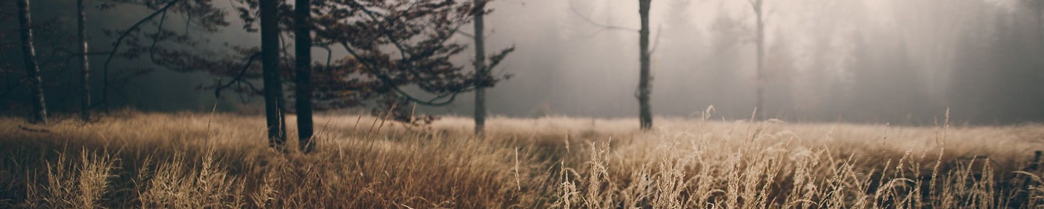 Cover for Gerald Conrad Bromstead's Obituary