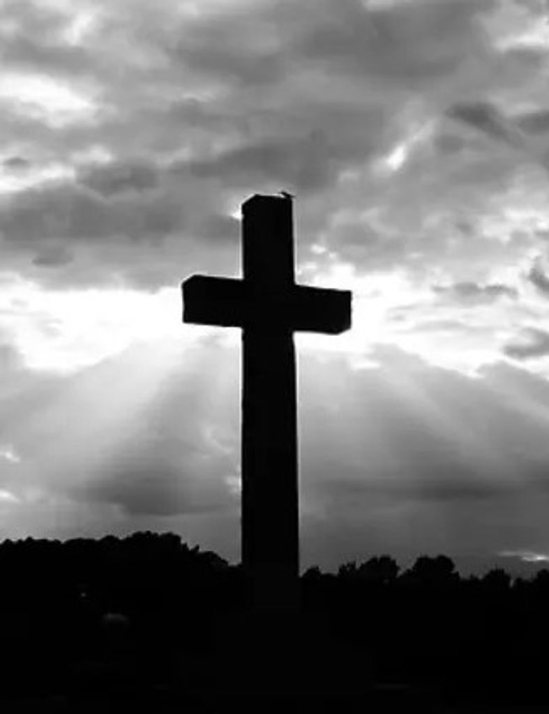 Marshall Burton Profile Photo