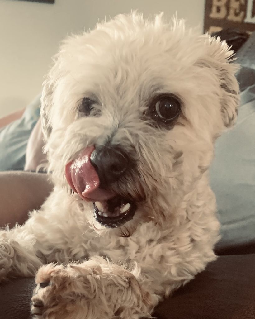 Rocco Wagner Profile Photo