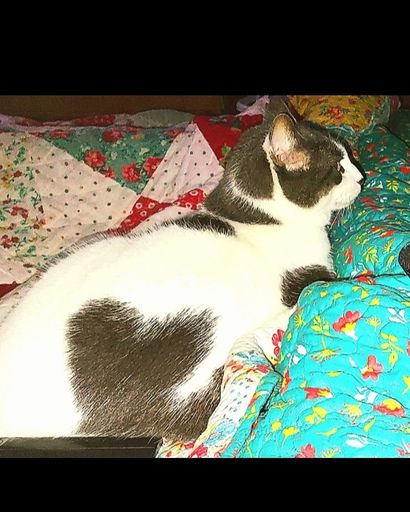 Precious Burson's obituary image