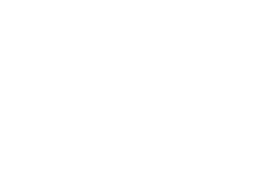 Palmetto Funeral Group Logo