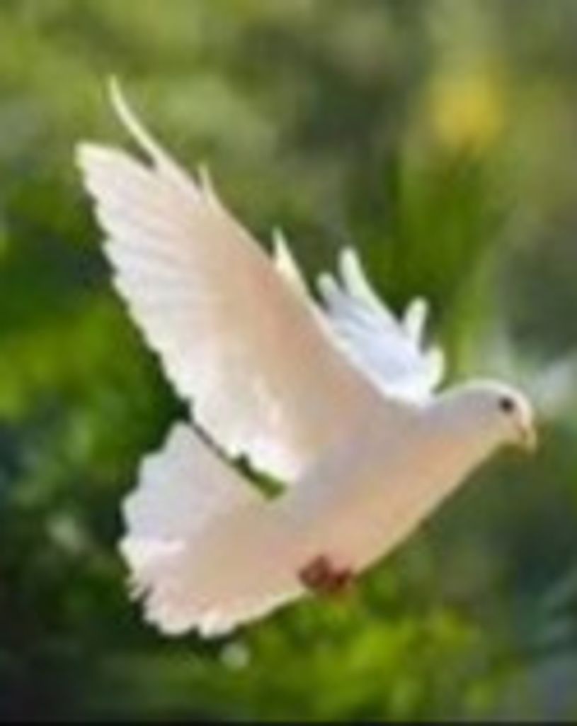 Thomas Michael "Tom" McChesney Profile Photo