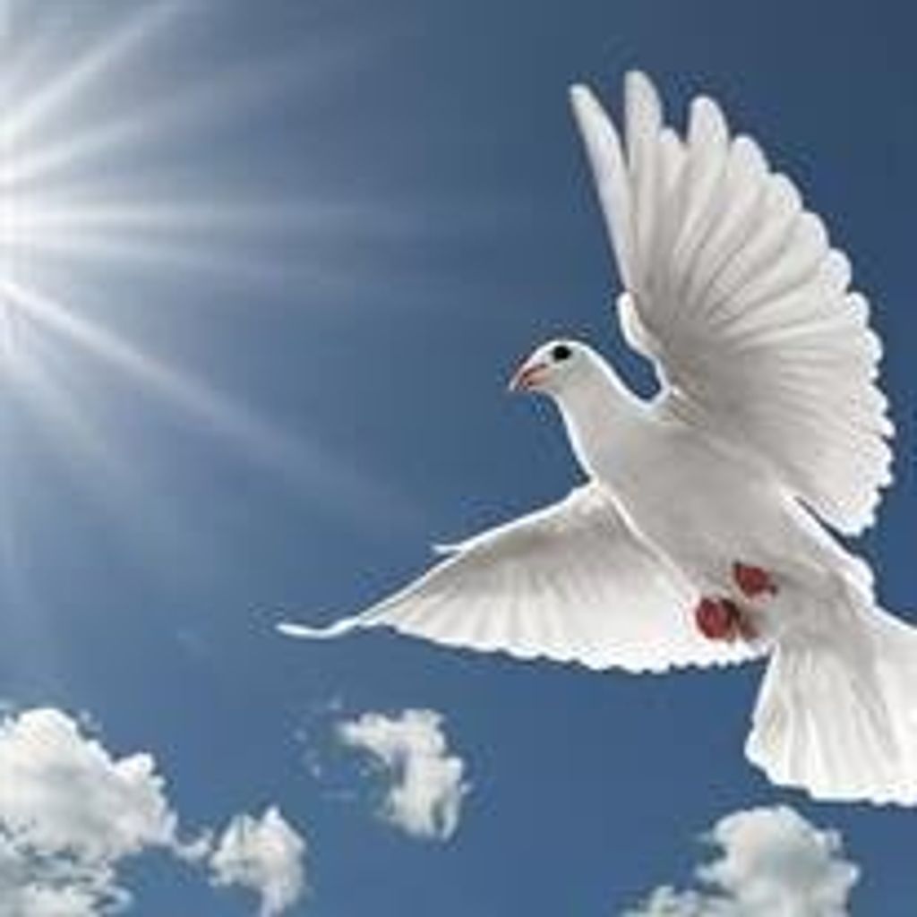 Mr. Roger Eugene Hendl Age 55, Of Green Cove Springs
