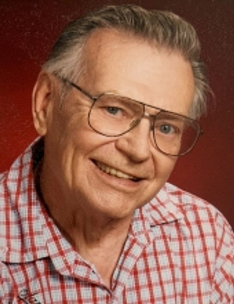 Ssgt. Wayne Clifford Wilton, Usaf (Ret.)