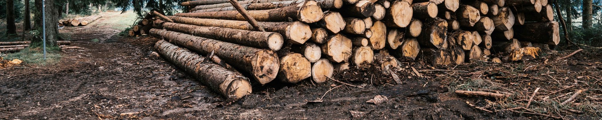 Cover for James Chain's Obituary