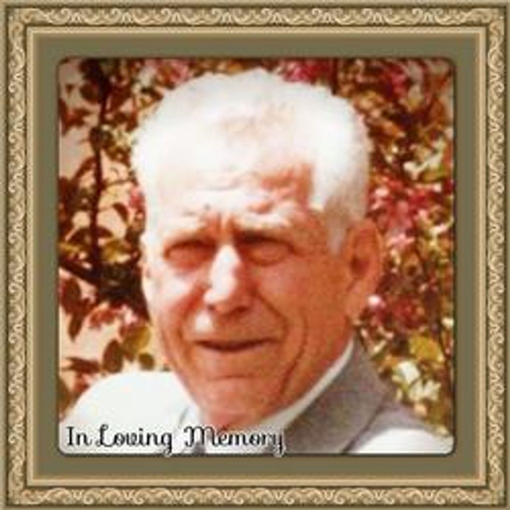 David Bushman Profile Photo