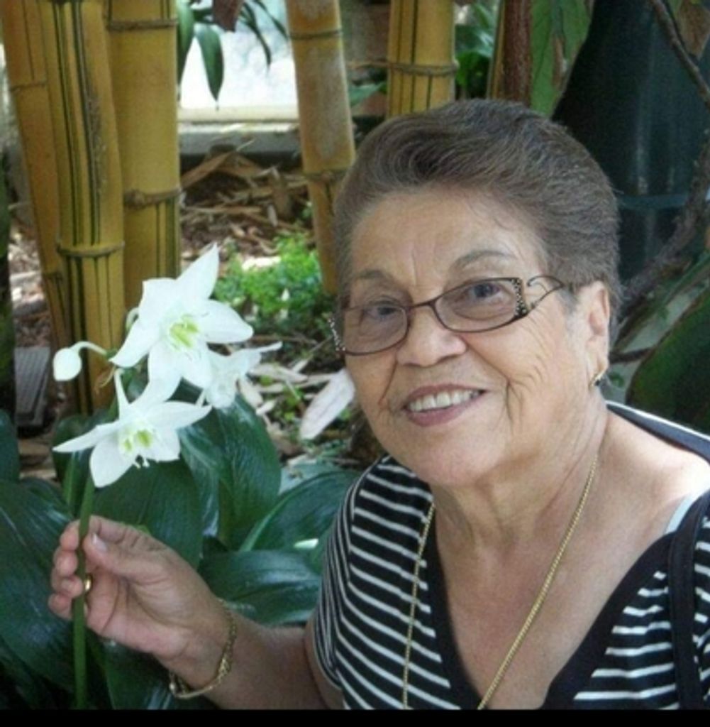Graciela Vargas Profile Photo