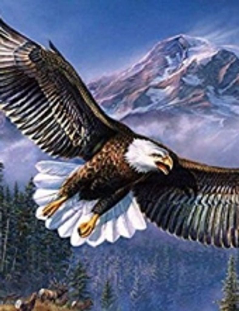 Roman Hernandez Bandala