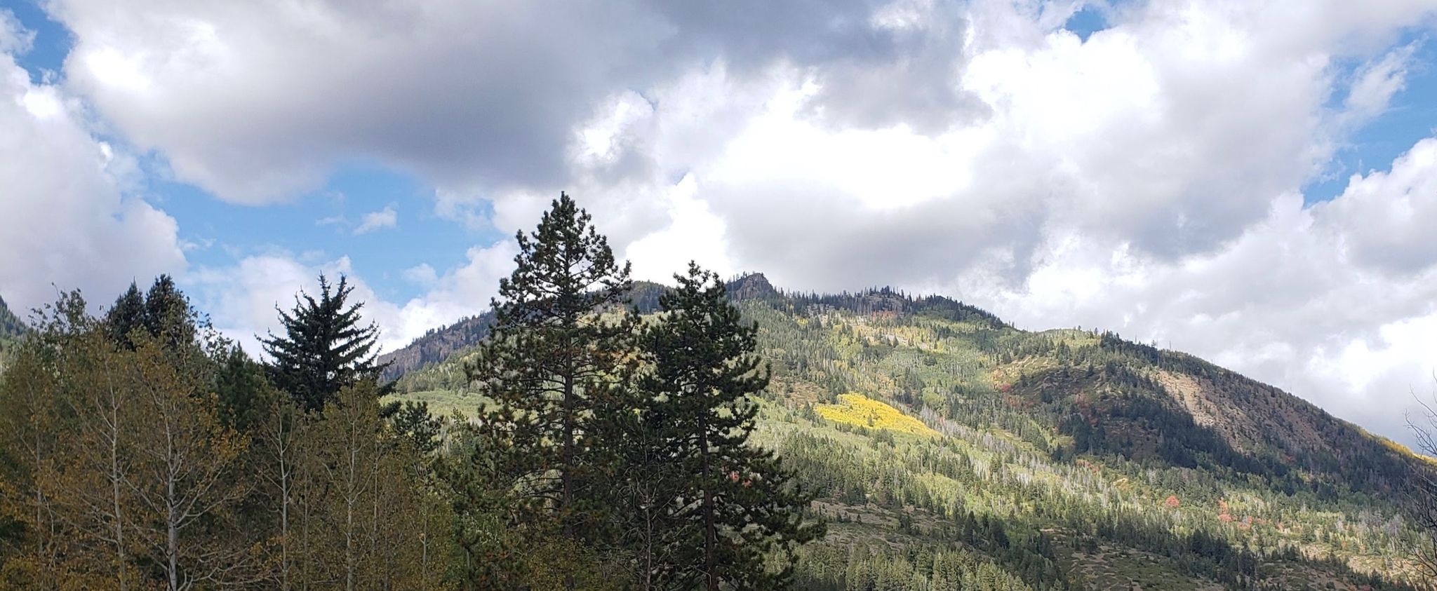 Cover photo for Ben Jr. Lyons's Obituary