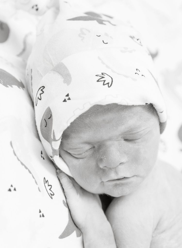 Dominic Vincent Schroeder
