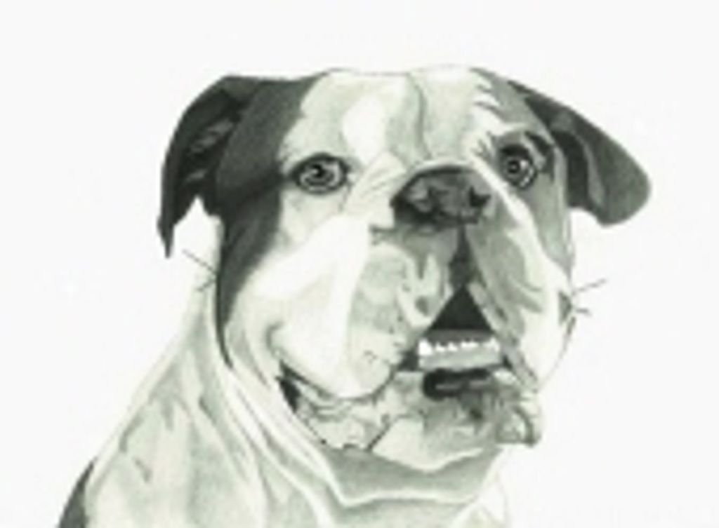 Harley England Profile Photo