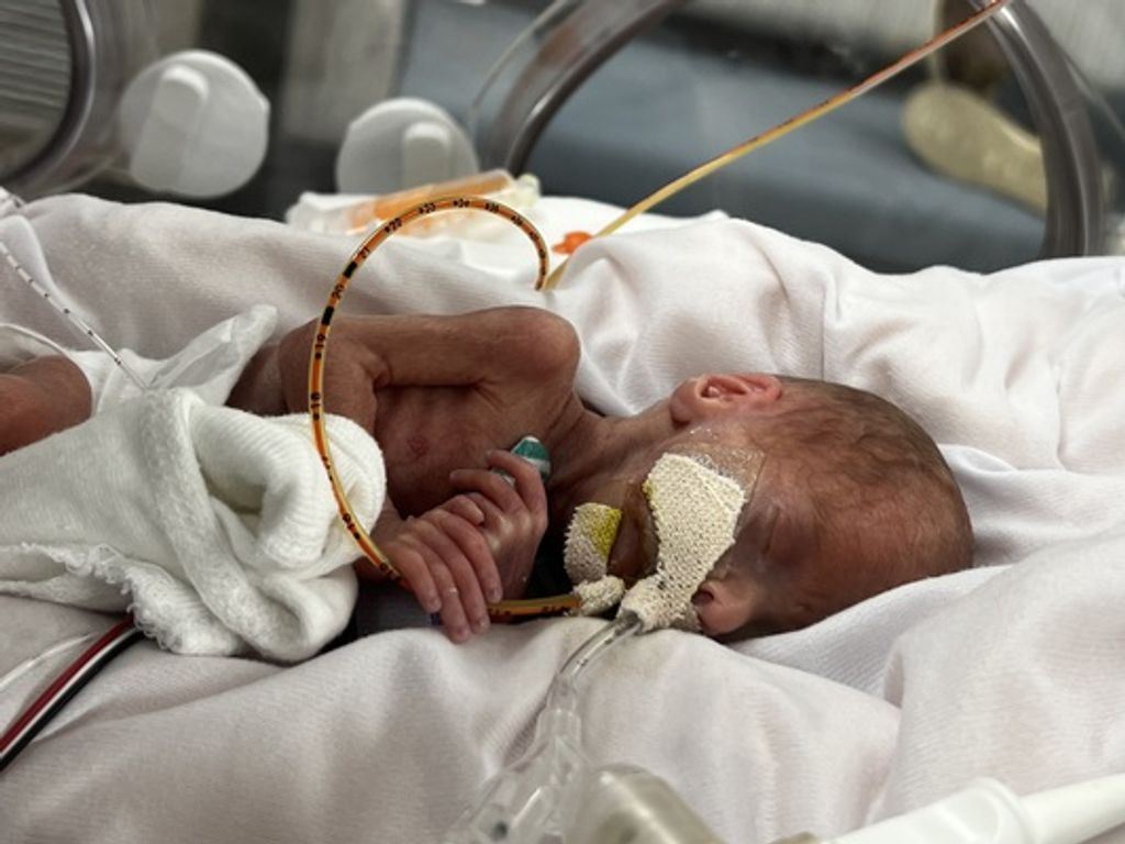 Aiden Lloyd Ellis