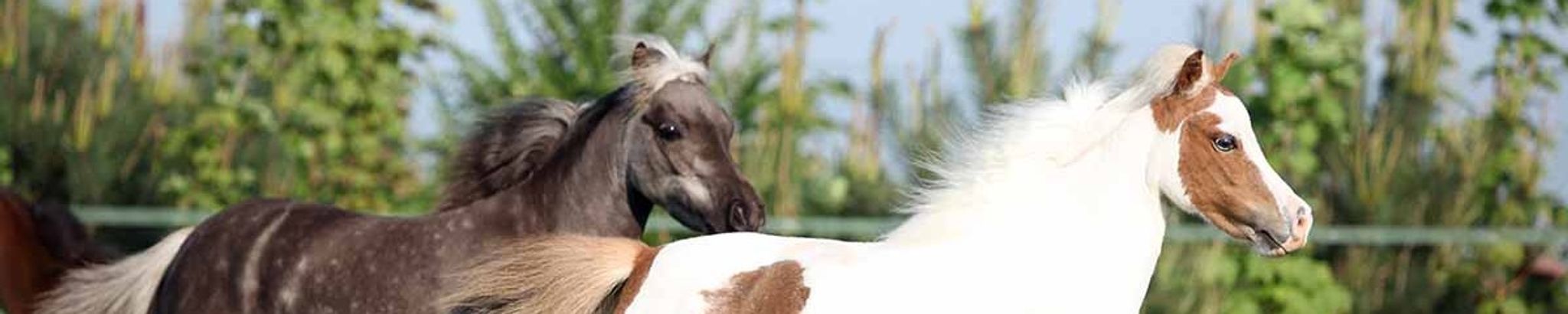 Cover for Jerry Ramaker's Obituary