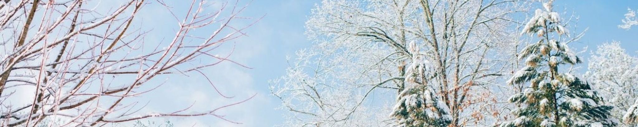 Cover for James Earl Maples's Obituary