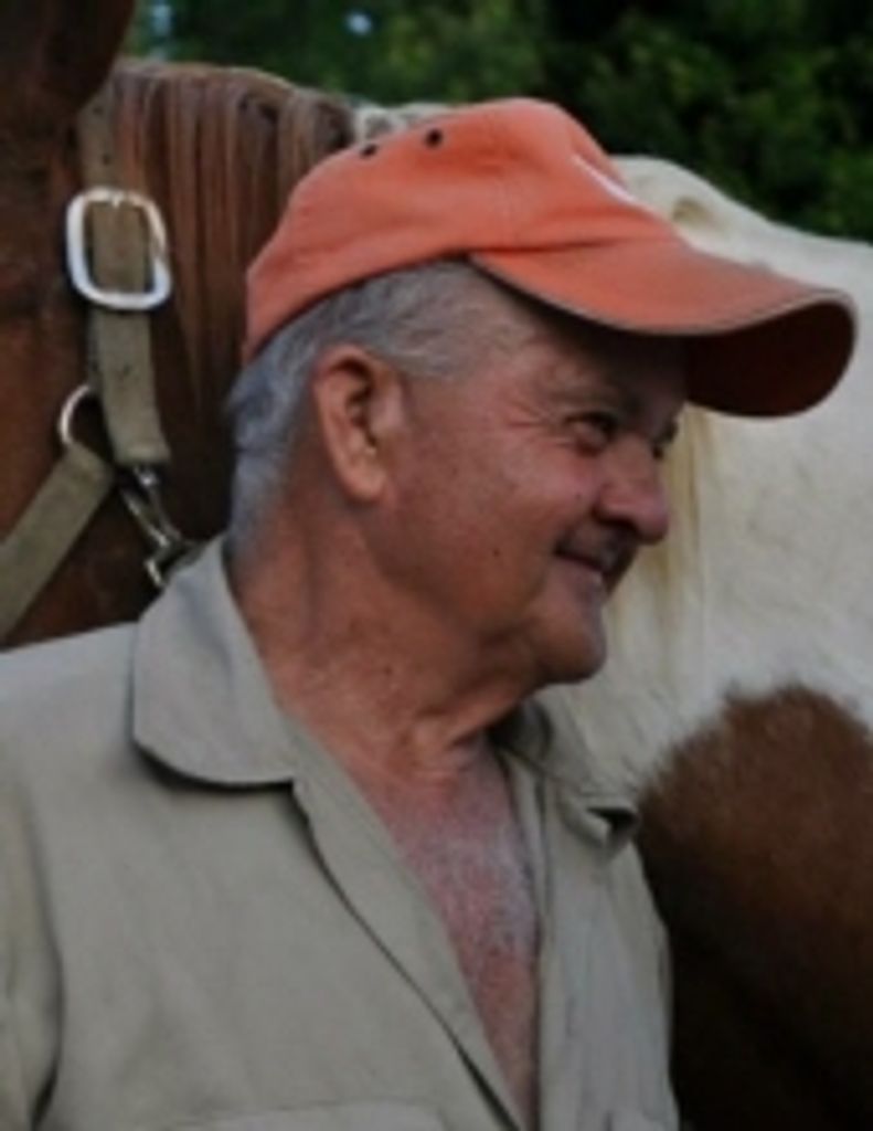 Nicholas  Ralph  Domain