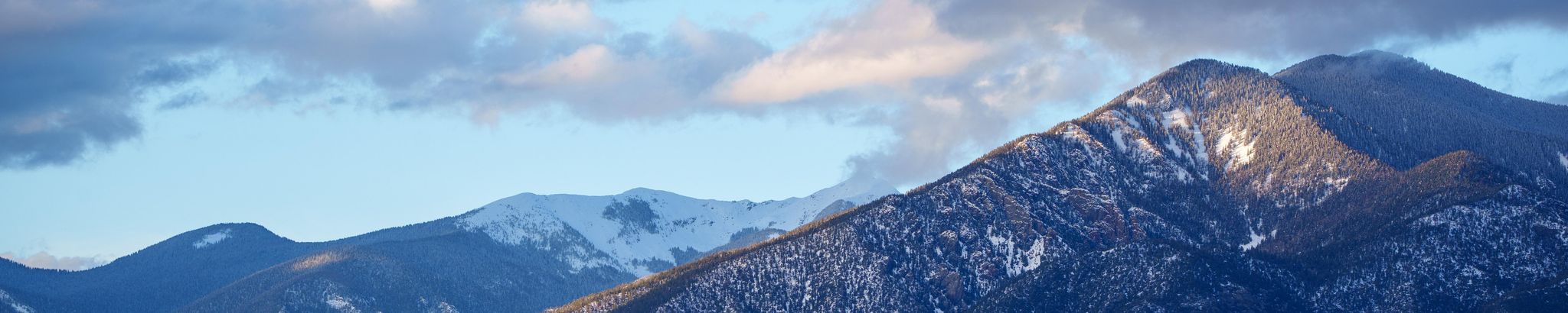 Cover for Michael Alexander Rollheiser's Obituary