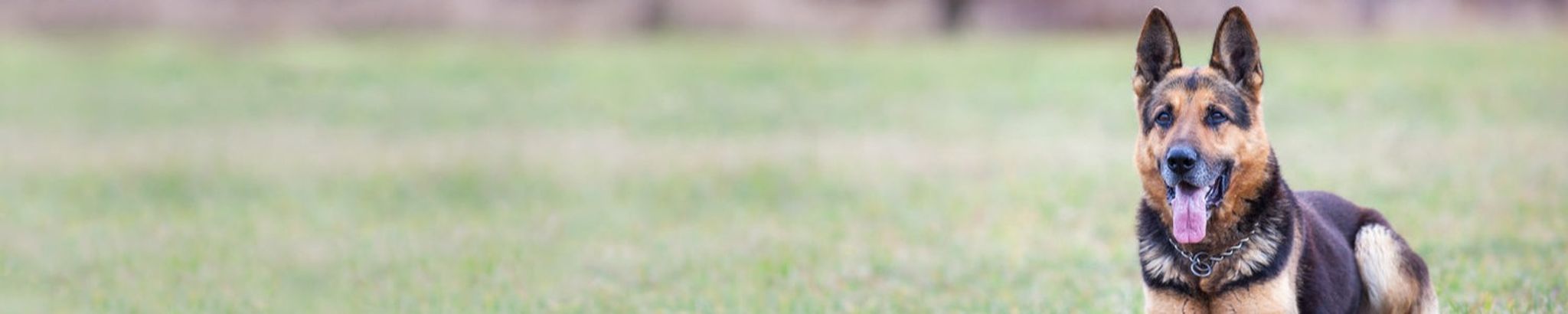 Cover for Barbara Lee Abel's Obituary