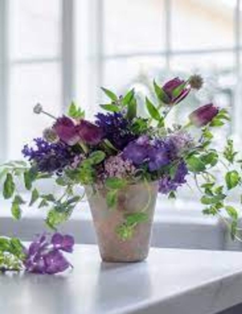 Marianne Jahn Nelder