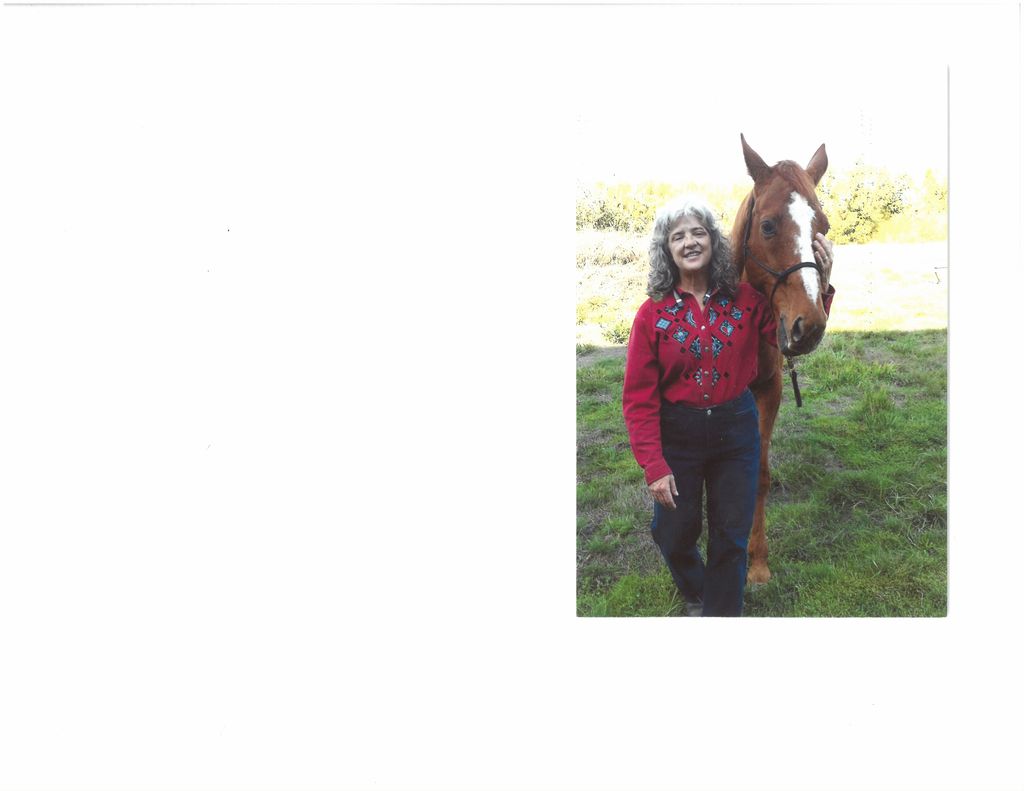 Brendan Lou Stewart Profile Photo